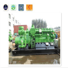 CE & ISO Approved 700kw Natural /Biogas/ Biomass Gas Generator with LPG, LNG, CNG, Methane Water-Cooled